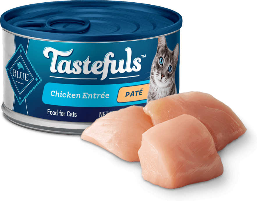 BLUE Buffalo Tastefuls Chicken Pate Adult Cat Cat Food Review